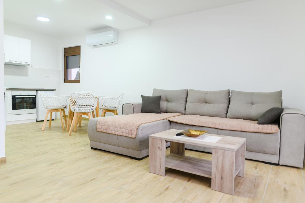 Apartman Dina Soko Banja Bagian luar foto